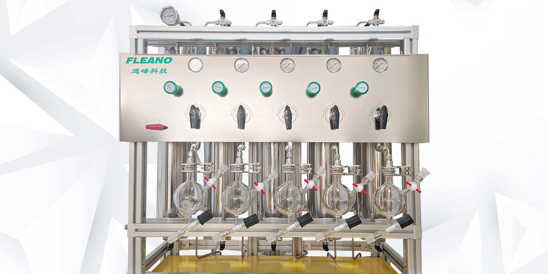 五路标准型快速溶剂纯化系统